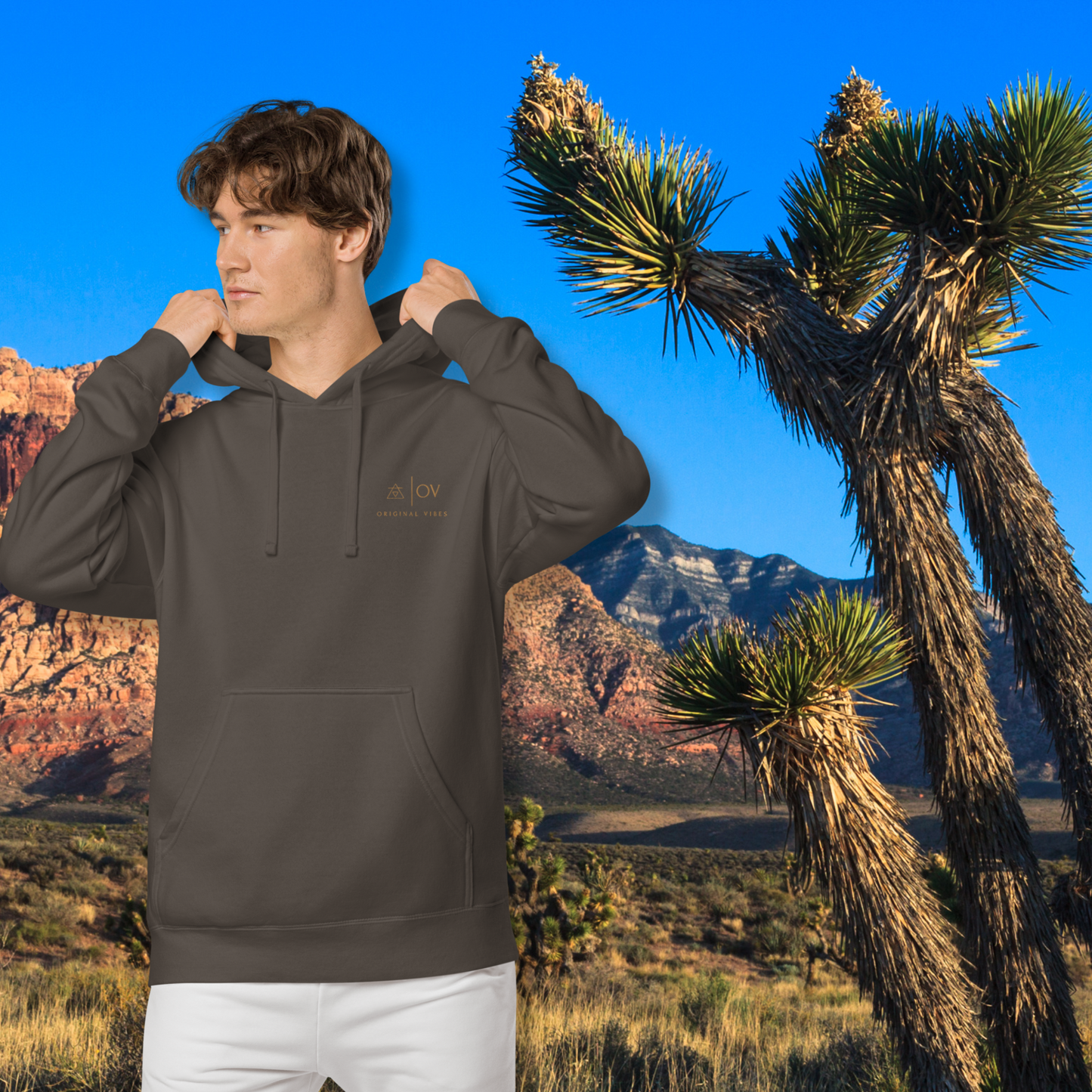 Original Nevada vibes hoodie